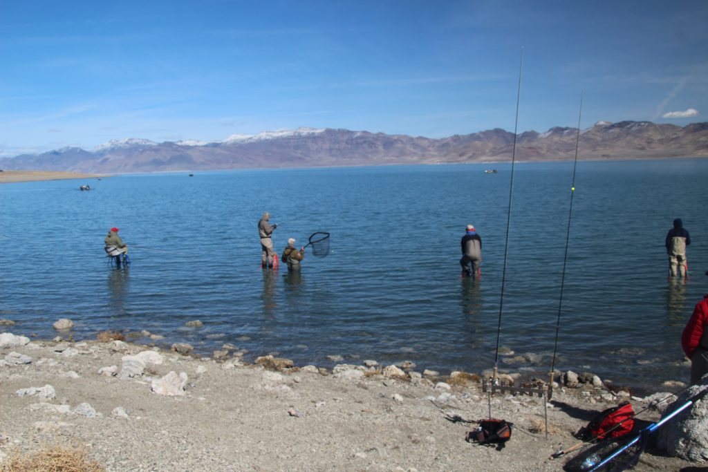 Techniques  Pyramid Lake Fly Fishing