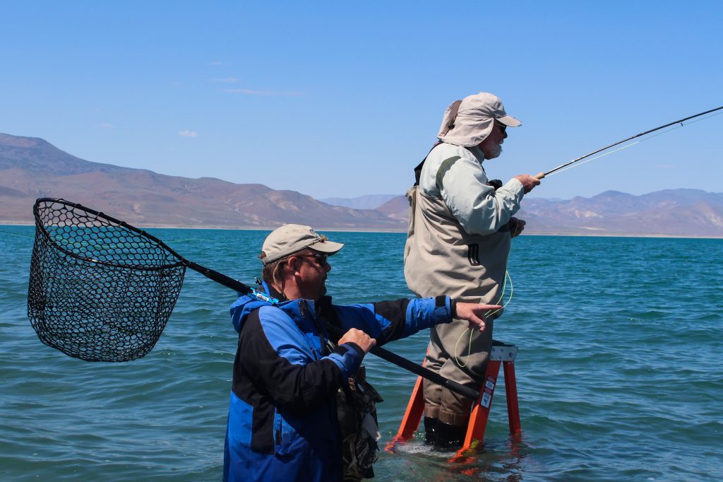 Techniques  Pyramid Lake Fly Fishing