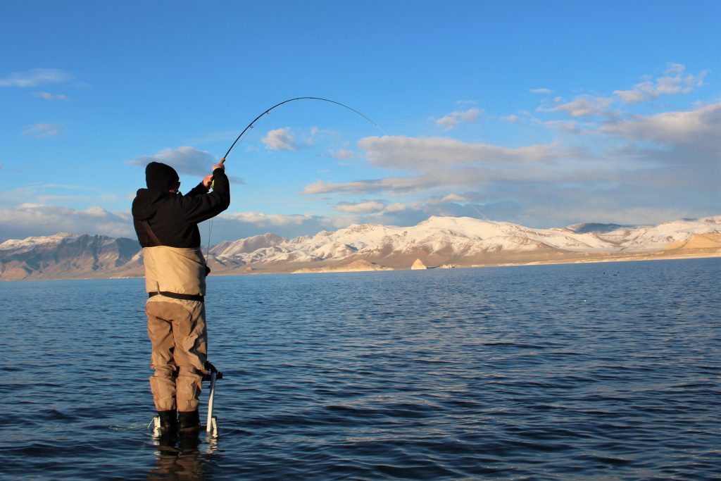 Gear  Pyramid Lake Fly Fishing